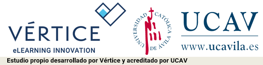 Inicio Vertice UCAV 2