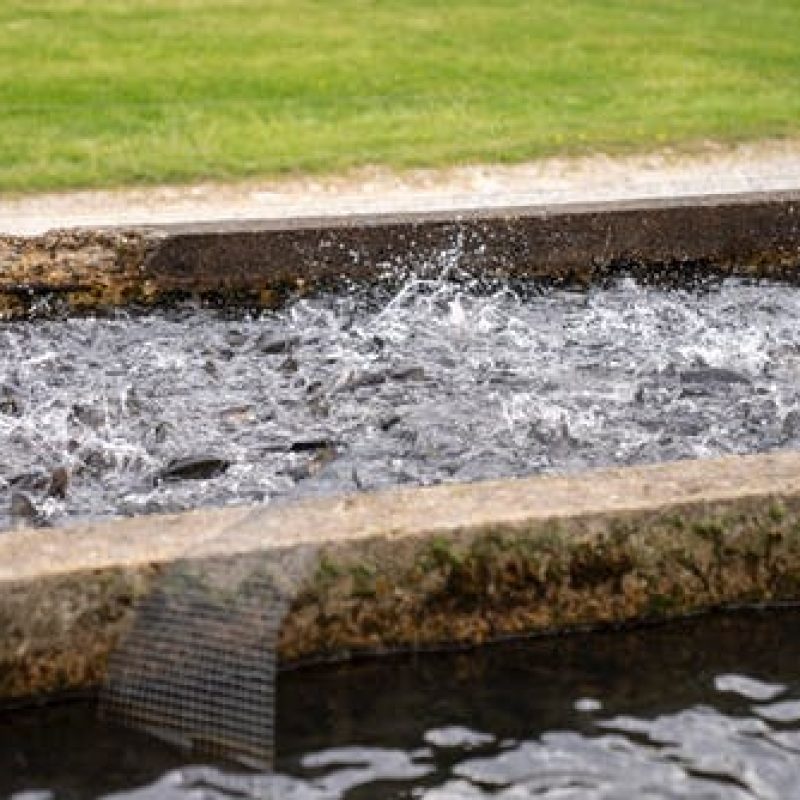 1. AGUA_2
