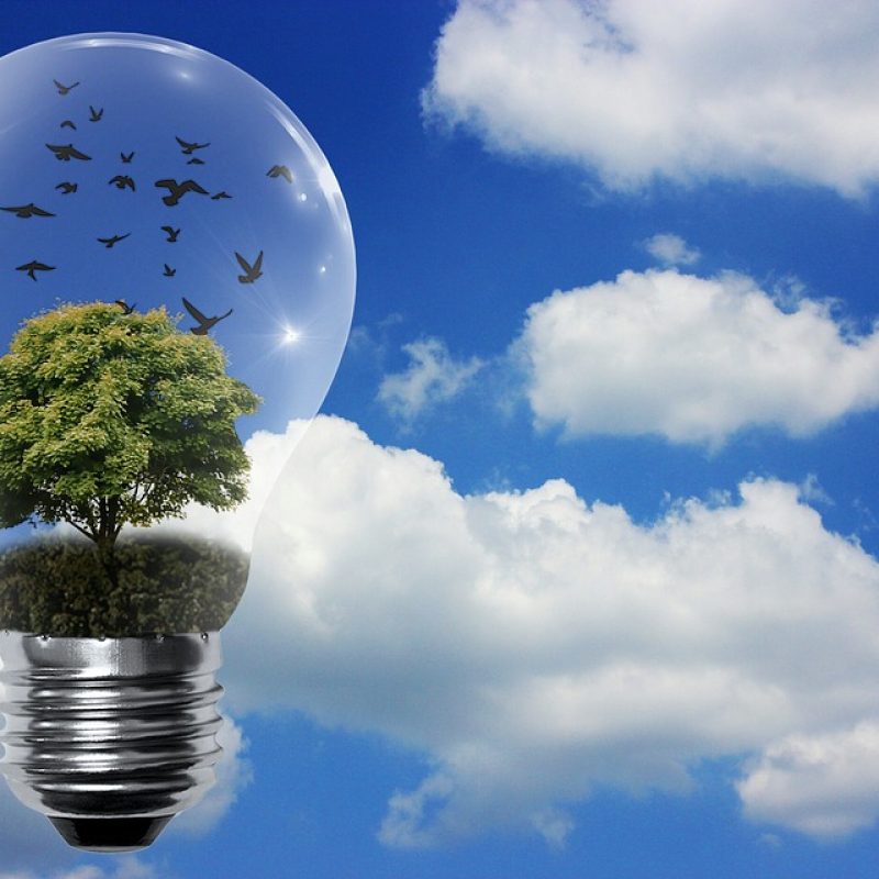 4. ENERGÍAS-RENOVABLES_3