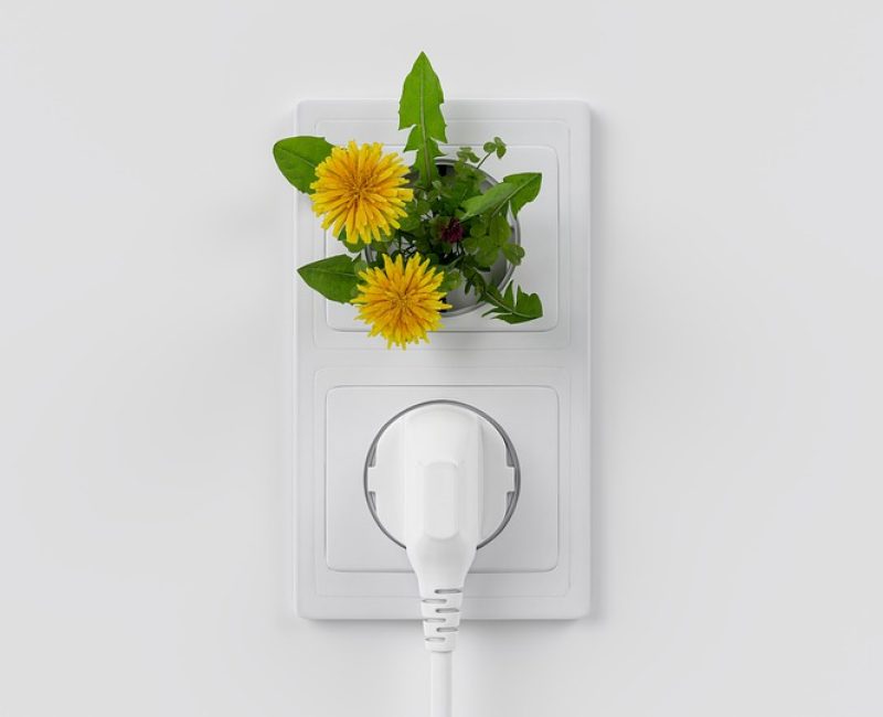 4. ENERGÍAS-RENOVABLES_6