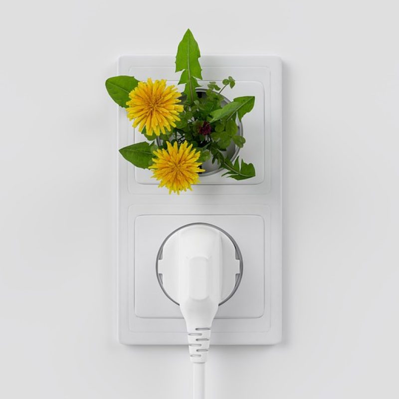 4. ENERGÍAS-RENOVABLES_6